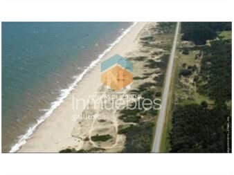 https://www.gallito.com.uy/vende-chacra-con-costa-en-punta-del-este-inmuebles-26301464