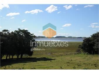https://www.gallito.com.uy/vende-chacra-en-laguna-garzon-inmuebles-26301465