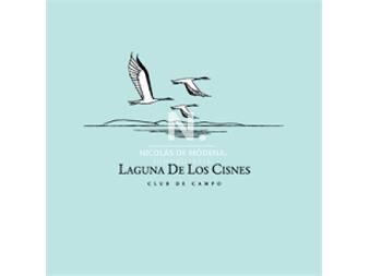 https://web5.gallito.com.uy/oportunidad-imperdible-gran-terreno-en-laguna-de-los-cisne-inmuebles-26316001