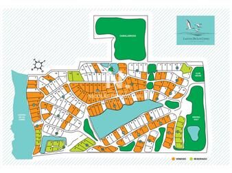 https://web5.gallito.com.uy/oportunidad-imperdible-gran-terreno-en-laguna-de-los-cisne-inmuebles-26316068