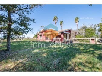 https://www.gallito.com.uy/campo-65-has-ruta-10-inmuebles-26332521