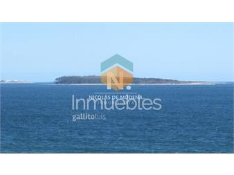 https://www.gallito.com.uy/venta-de-departamento-de-3-dormitorios-en-pinares-punta-d-inmuebles-25033744