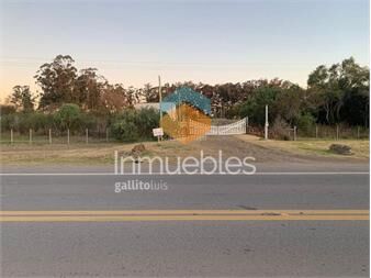 https://www.gallito.com.uy/venta-chacra-1-ha-proxima-a-mercedes-soriano-inmuebles-25786504