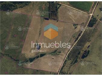 https://www.gallito.com.uy/venta-chacra-con-29-hectareas-estacion-jose-ignacio-inmuebles-24213107
