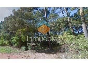 https://www.gallito.com.uy/oportunidad-para-desarrollo-burnet-inmuebles-26447784