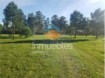 https://www.gallito.com.uy/chacra-de-3-has-con-5657-m2-en-camino-benito-nardone-inmuebles-26517079