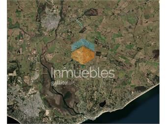 https://www.gallito.com.uy/campo-23-has-a-metros-de-la-ruta-104-y-a-15-km-de-manantial-inmuebles-26030083