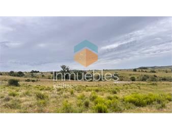 https://www.gallito.com.uy/campo-de-51-has-con-6516-paraje-camino-los-molles-inmuebles-26598528