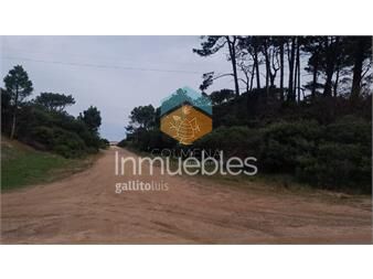 https://www.gallito.com.uy/chihuahua-oportunidad-inmuebles-26620866