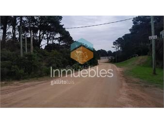 https://www.gallito.com.uy/chihuahua-oportunidad-inmuebles-26621576