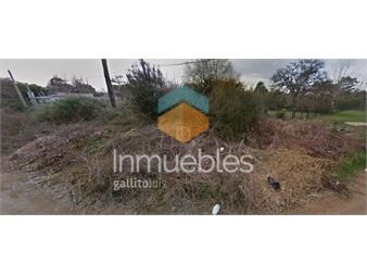 https://web5.gallito.com.uy/venta-terreno-en-parque-del-plata-inmuebles-26117730