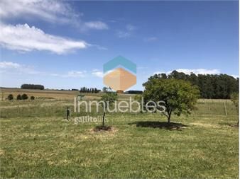 https://www.gallito.com.uy/campo-agricola-ganadero-canelones-inmuebles-26029553