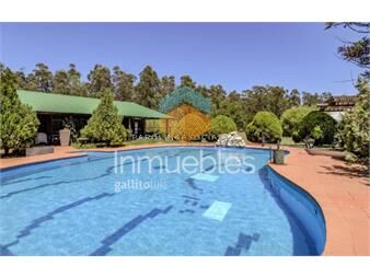 https://www.gallito.com.uy/espectacular-chacra-de-6-dormitorios-en-camino-de-los-ceibo-inmuebles-26484113