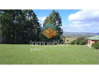 https://www.gallito.com.uy/chara-5-has-en-pueblo-eden-con-casa-inmuebles-25570918