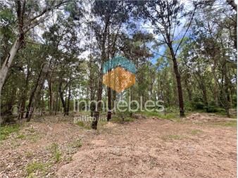 https://www.gallito.com.uy/venta-terreno-en-burnett-maldonado-4500m2-inmuebles-26269441