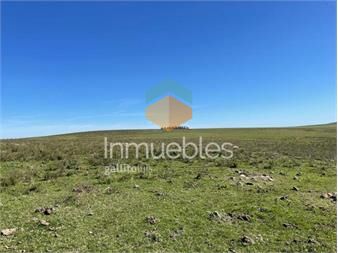 https://www.gallito.com.uy/campo-ganadero-i-paysandu-i-ha-511-ic-54-inmuebles-26716055