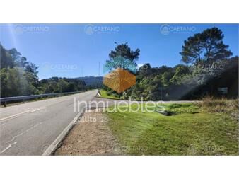 https://www.gallito.com.uy/venta-terreno-punta-ballena-ruta-12-laguna-del-sauce-inmuebles-25504838