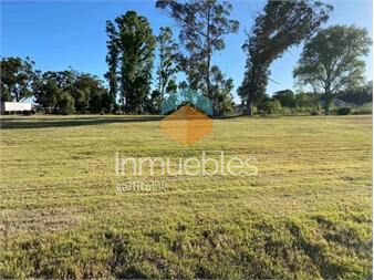 https://www.gallito.com.uy/terreno-punta-del-este-inmuebles-26172922