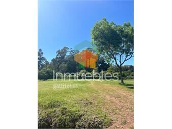 https://www.gallito.com.uy/terreno-barrio-privado-verde-mora-inmuebles-26766523