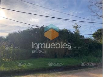 https://www.gallito.com.uy/venta-terreno-en-el-chorro-inmuebles-24708743