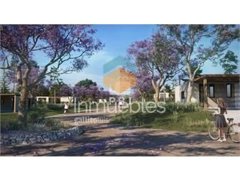 https://www.gallito.com.uy/terreno-en-la-jacinta-punta-ballena-ref-pbi12711-inmuebles-24226745