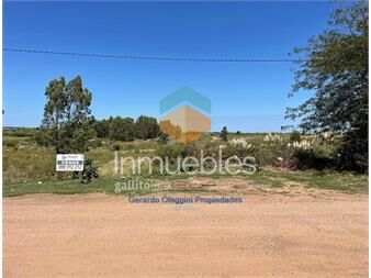 https://www.gallito.com.uy/venta-terreno-pegado-al-aeropuerto-y-a-mts-ruta-102-inmuebles-25611275