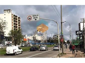 https://www.gallito.com.uy/terreno-casi-1000-m2-sobre-av-italia-inmuebles-20384938