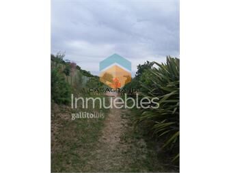 https://www.gallito.com.uy/terreno-en-punta-ballena-inmuebles-26797636