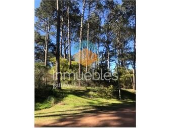 https://www.gallito.com.uy/terreno-punta-ballena-inmuebles-24852048