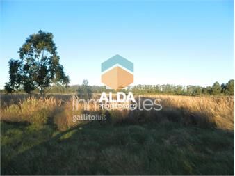 https://www.gallito.com.uy/terreno-en-barra-portezuelo-ref-te200614-inmuebles-20297167