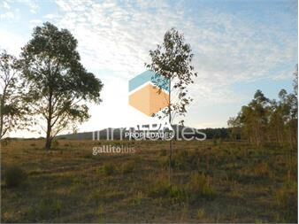 https://www.gallito.com.uy/terreno-en-punta-colorada-ref-te201377-inmuebles-20297330