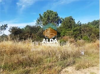 https://www.gallito.com.uy/terreno-en-punta-colorada-ref-te201542-inmuebles-20297494