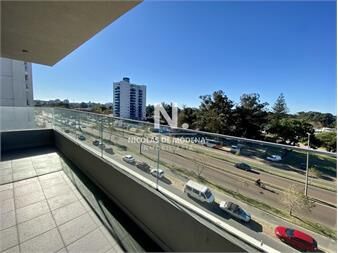 https://www.gallito.com.uy/apartamento-sobre-roosevelt-inmuebles-25035254