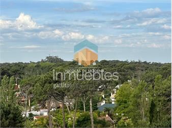 https://www.gallito.com.uy/apartamento-3-dormitorios-en-edificio-de-categoria-en-punt-inmuebles-25041786