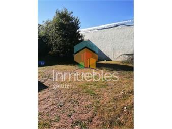 https://www.gallito.com.uy/impecable-terreno-en-altura-inmuebles-21962554