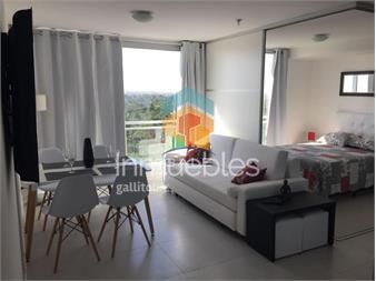 https://www.gallito.com.uy/amplio-monoambiente-con-garaje-y-cochera-en-punta-del-este-inmuebles-26528564