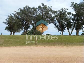 https://www.gallito.com.uy/venta-de-lote-en-el-quijote-inmuebles-22909893