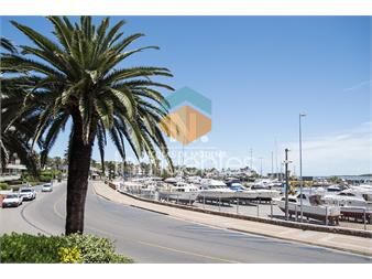 https://www.gallito.com.uy/gran-oportunidad-de-venta-en-la-zona-del-puerto-de-punta-d-inmuebles-24987230