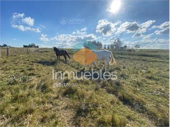 https://www.gallito.com.uy/caña-bellaca-inmuebles-24091134