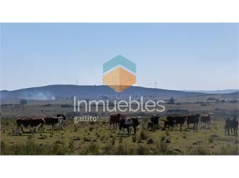 https://www.gallito.com.uy/campo-cerca-ruta-39-en-las-cañas-inmuebles-22910091