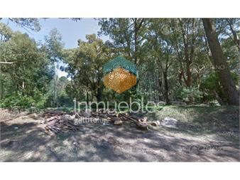 https://www.gallito.com.uy/venta-lotes-1000-metros-cuadrados-en-solanas-punta-ballena-inmuebles-25518953