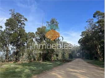 https://www.gallito.com.uy/vendo-inmuebles-26895621