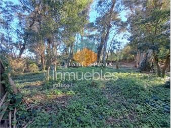 https://www.gallito.com.uy/oportunidad-lote-en-el-golf-playa-brava-inmuebles-26278819