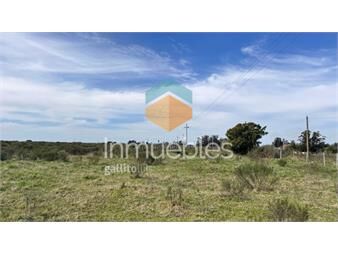 https://www.gallito.com.uy/campo-5-has-en-los-ceibos-inmuebles-26059500