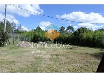 https://www.gallito.com.uy/terreno-en-tio-tom-consulte-inmuebles-23180297