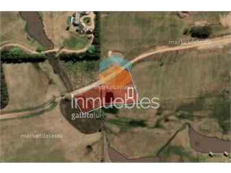 https://www.gallito.com.uy/plantaciones-11-ha-inmuebles-26928042