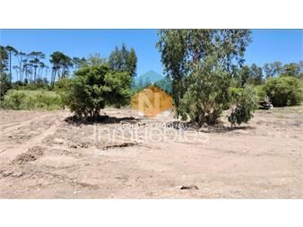 https://web5.gallito.com.uy/vende-terreno-en-golf-punta-del-este-inmuebles-26432520