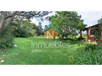 https://www.gallito.com.uy/chacra-en-laguna-del-sauce-punta-ballena-inmuebles-24987522