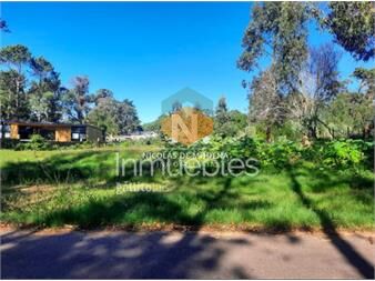 https://web5.gallito.com.uy/vende-terreno-en-golf-punta-del-este-inmuebles-26945776