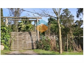 https://www.gallito.com.uy/terreno-en-venta-en-el-tesoro-la-barra-inmuebles-26325165